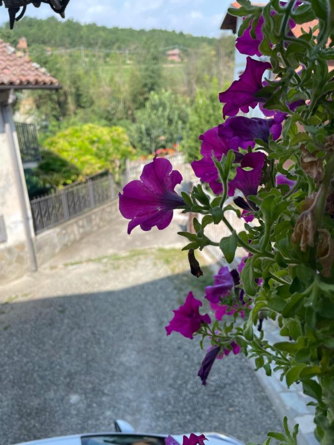 Charming Two Bedroom House Vakantiehuis