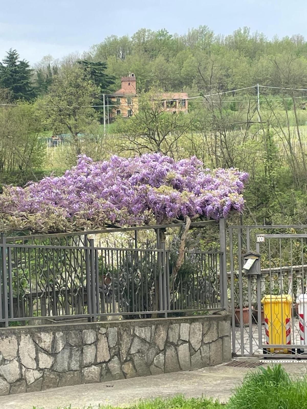 Charming Two Bedroom House * Strevi